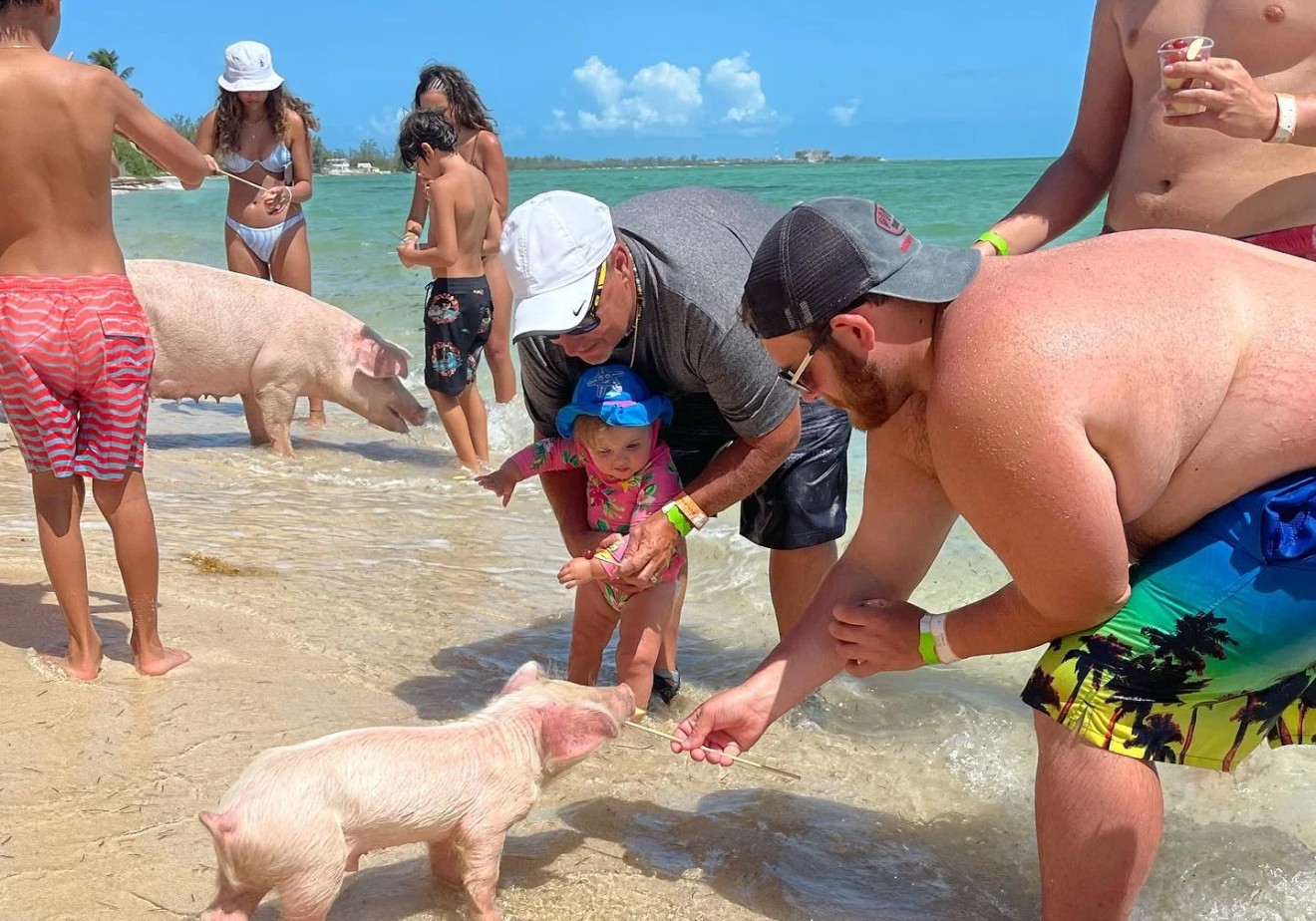 piggy-swim-nassau